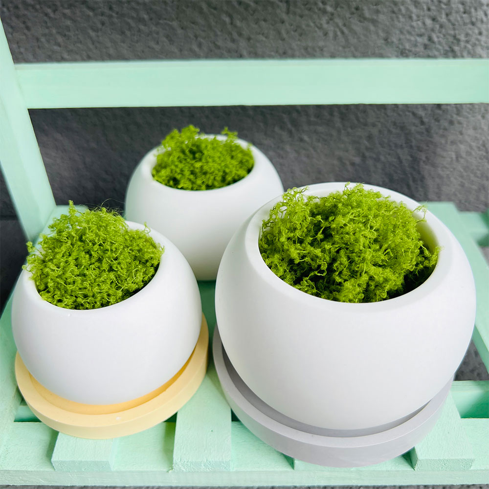 Spherical Flowerpot Silicone M - Potsticker Mold ulasan dan harga