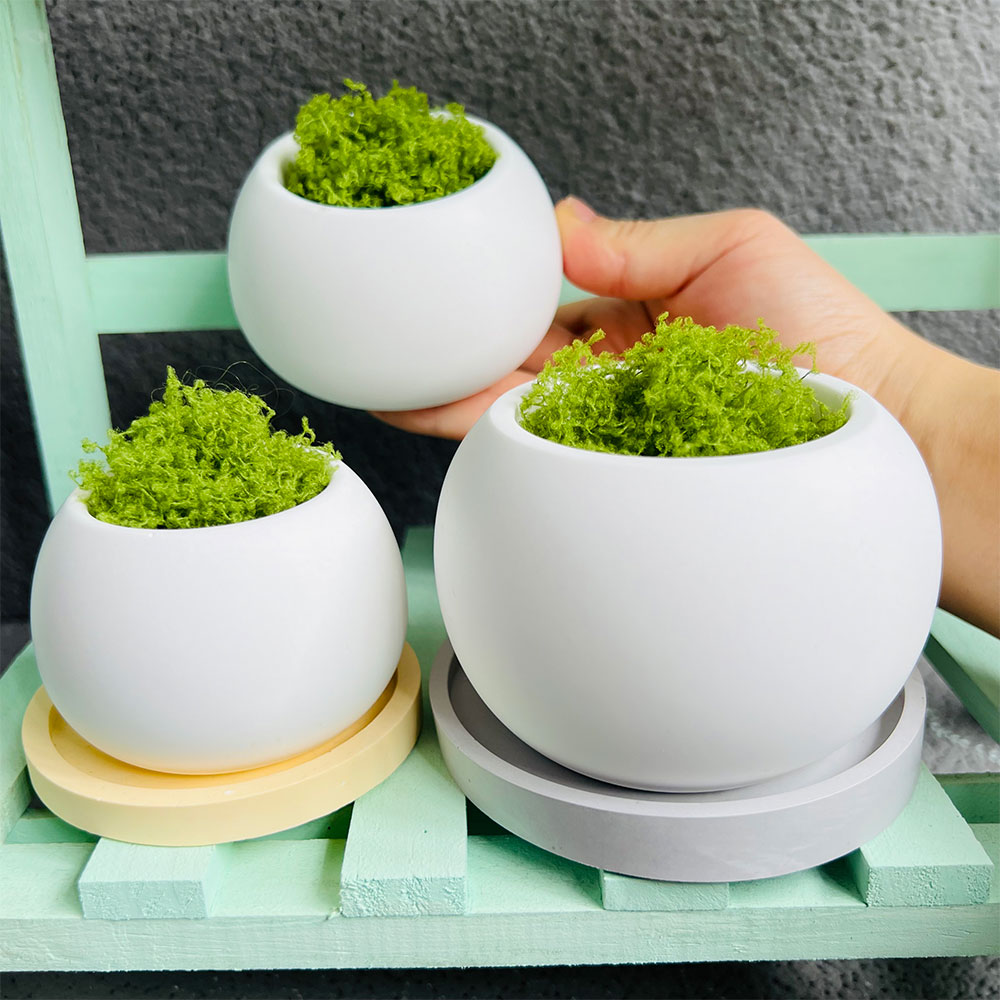 Spherical Flowerpot Silicone M - Potsticker Mold ulasan dan harga
